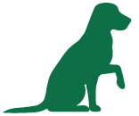 Large dog