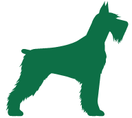 X-Large dog