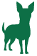X-Small dog